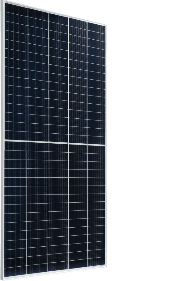 Risen Solar Panels - Think Renewable